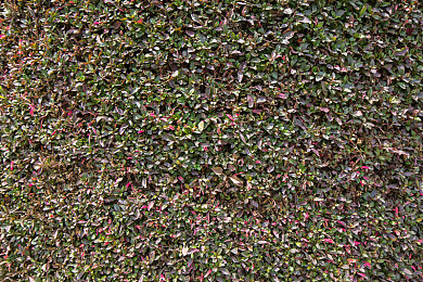 十大黄台禁用｜规范安全，驶向未来，共筑绿色汽车新时代-5