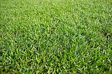 女超人满天星版麦乐迪马克斯|星际梦幻驾临,绿色动力新篇章-1