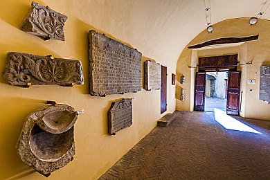 抖音9·1免费观看｜抖音盛宴，汽车文化大放异彩，免费观看盛宴来袭，汽车迷们不容错过！-2