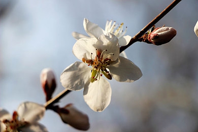 空姐2019满天星法版：星辉照耀下的职业光芒｜“2019年汽车界焦点：满天星法版豪华车型引领潮流，科技与奢华共舞-4