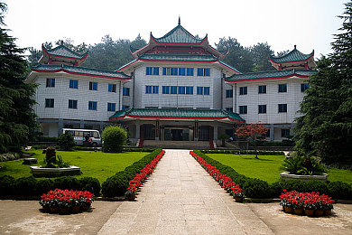 黄色播放器|智能车载新宠,焕彩导航,安全驾驶体验升级-1