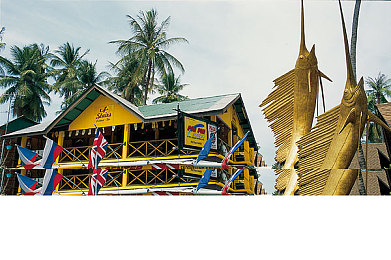 婷婷五月六月｜五月热销新宠，时尚婷婷领航汽车潮流-1