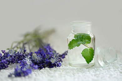 石原莉奈被老头ADN一057｜石原莉奈引领创新，老头ADN一057以安全性能颠覆汽车行业-1