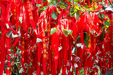 两个球球抖动视频抓球球|球舞光影,智行未来——节能环保智能车引领潮流-1