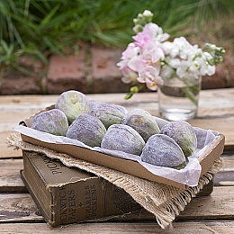 男生女生差差差差|男女驾驶差异解析:购车习惯、驾驶风格及决策背后的文化密码-1