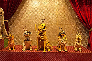 下载3.0.3每天无限免费大全OPPO-1