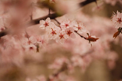 麻花演员李蓉蓉|车界明星李蓉蓉:跨界演艺与驾驭,演绎汽车文化新篇章-5