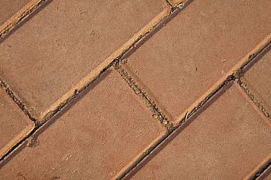 最新男人与雌性宠物交｜科技宠趣，情感互联：宠物智能生活新篇章-1