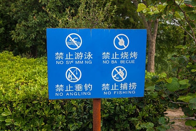 爱情电影网改名后的新名称是什么?|“影视乐园焕新启航,打造观影新纪元”-2