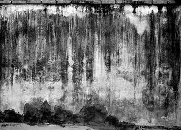 XxX少扫厨房XXx乱｜新款车型性能出色却现低速抖动疑虑，厂家积极应对期待市场表现提升-2