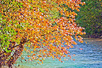 台湾综合娱乐网｜“未来之星电动汽车惊艳登场，续航500公里、充电30分钟，引领台湾新能源汽车潮流”-1