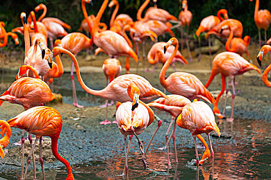 裸体软件|智能潮涌,定制出行,软件新纪元-4