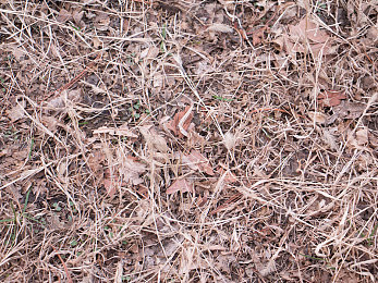 和亲女洗澡时做了爱｜“穿越都市，共浴温馨时光，品牌魅力引领汽车潮流”-2