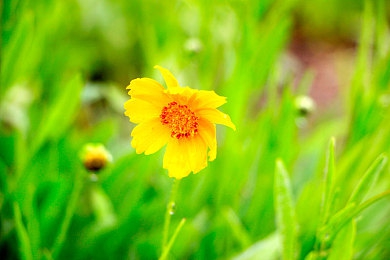 富二代绿软|环保动力新潮流,富二代专属车款引关注-3