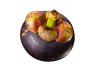 胡桃坐旅行者的大季巴｜时尚外观豪华内饰，胡桃新车型引关注，全家出行首选佳选-1