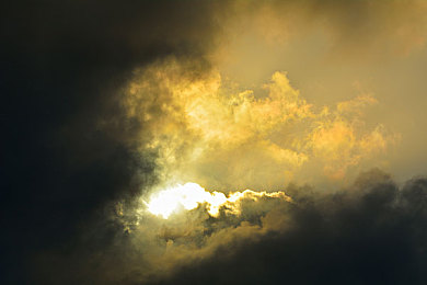 性动态｜女性崛起，汽车市场性别差异化趋势引领行业变革-3