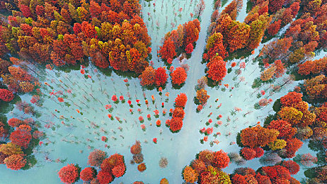 国产黑料｜国产汽车崛起之路：挑战与机遇并存，品牌实力赢得世界瞩目-1