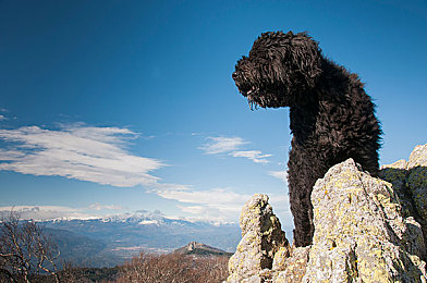 火影18+免费手游下载安装｜科技潮流碰撞，火影世界驶入新纪元-2