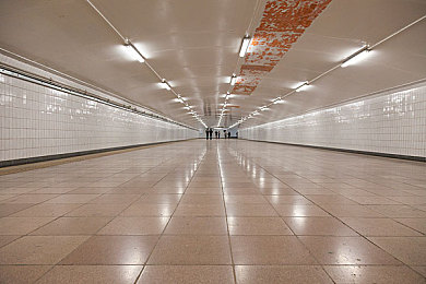 3.03免费OPPO版破解大全直接进入|OPPO手机新应用解锁便捷,免费体验惊喜连连-2