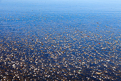 新金艳花瓶最经典十首歌曲|汽车品牌新金艳花瓶音乐魅力再升级,盘点十大经典歌曲诠释品牌精神-4