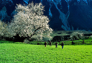 成全视频高清免费观看动漫的优点｜驾驶新视界，动漫免费畅享，车载娱乐焕新颜-2