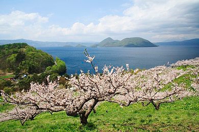 神里绫华焯出白水该如何处理|“时尚水波流动,神车魅力再升级——探索创新设计汽车之路”-2