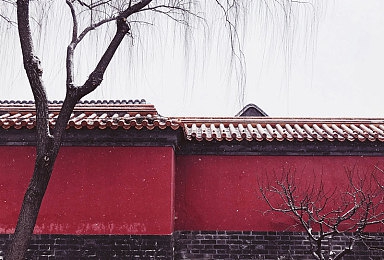 十八岁新疆女RAPPER｜青春音符融入汽车界，新疆女RAPPER为行业注入新活力-3