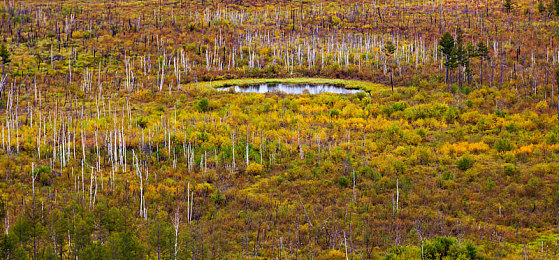 男生女生一起修修修轮滑鞋免费下载|汽车维修难题迎刃而解,免费下载神器助车主轻松上手-4