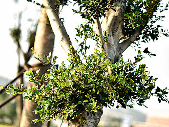 男生和女生一起查查查｜时尚动感SUV大揭秘：男女通吃，性能卓越，品质生活新选择-5