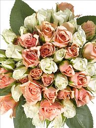 男生捅女生APP｜智能驱动未来，绿色出行新篇章-3