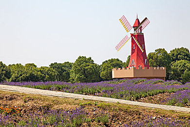 黄色软件怎么下载？｜汽车软件新宠：黄色软件下载攻略，驾驶生活更便捷-3