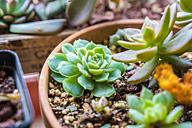 快色91｜引领潮流，驾驭未来——全新车型亮相，市场瞩目新势力-1