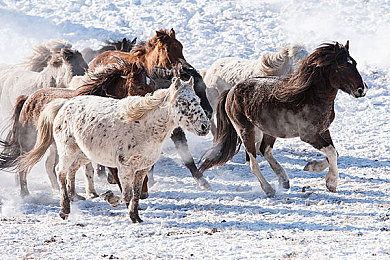 十大禁用黄色APP-5