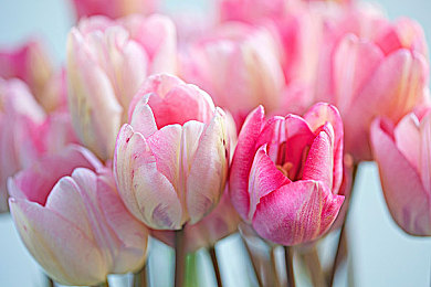 男人干女人软件｜创新驱动，智能领航：个性化服务引领汽车驾驶新体验-4