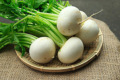 老师的兔子｜新能源汽车新宠，教育理念萌动未来驾驶体验-3