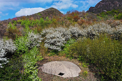 黄色软件下载3.0.3免费OPPO版破解大全苹果,可以下载视频｜科技驱动，OPPO新应用助汽车行业焕新颜-1