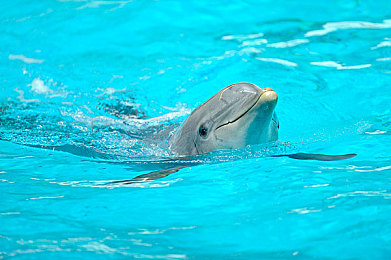 男女搞鸡软件｜“科技赋能驾驶新体验：汽车社交应用引领行业创新潮流，打造智能社交新平台”-3