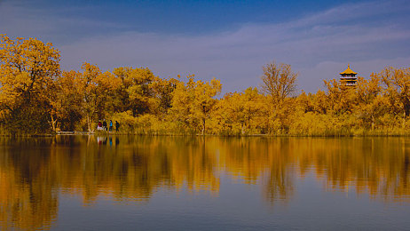 艳女软件｜智能驾驶新篇章：艳女系统引领汽车行业变革，人性化科技打造未来出行新体验-1