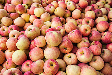 农村老熟女BBw毛耸耸｜造型独树一帜，性能卓越，BBw毛耸耸成农村新宠风景线-1