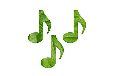 黄色软件app大全免费下载2024安装手机版｜智能聚合，畅享车生活，赋能未来驾驶新体验-1