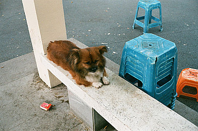 专门憋尿的衣服｜“长途驾驶新革命：创新汽车内饰提升舒适体验，告别频繁停车烦恼”-1