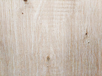 美国370大但人文艺术｜驾驭速度，尽展艺术风范——探秘独特美学与动力传奇-1