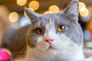 18摸APP下载｜汽车生活助手升级，综合性服务平台18摸APP受热捧，全方位服务赢得车主好评-2