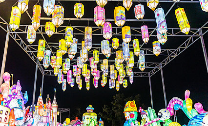 网曝黑料｜知名汽车品牌陷信任危机：发动机故障频发，制动失灵安全隐患引担忧-2