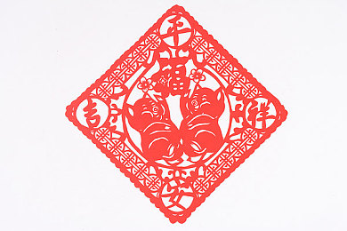 黄色软件OPPO｜科技先锋，守护隐私，OPPO再战风云-1