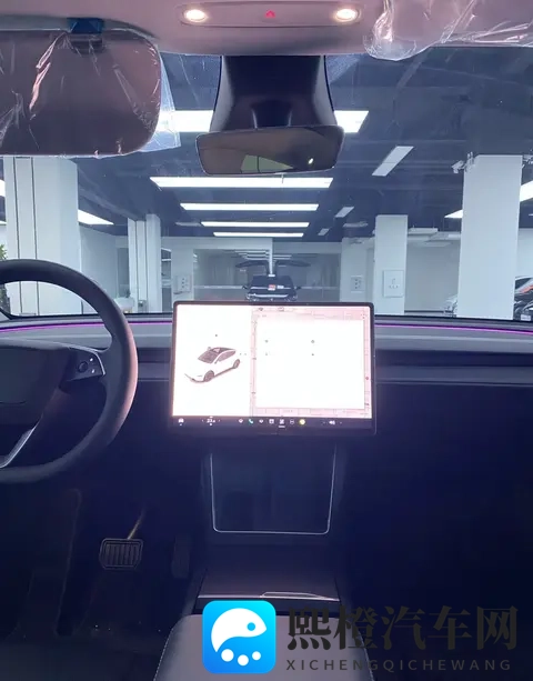 特斯拉Model Y的“隐藏彩蛋”：白色小卡扣，藏着一个纯平大世界！-3