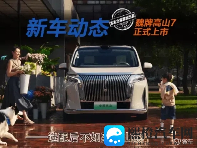 衣袖里看到大馒头：汽车内饰新潮流：传统元素融入现代科技-1