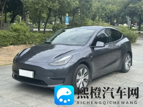 15万多拿下特斯拉Model Y,圆你纯电SUV梦!-3