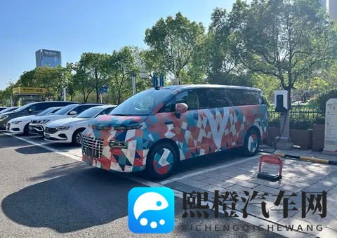 免费剧烈运动扑克视频下载网站:免费下载,趣味运动扑克教学视频网站-3