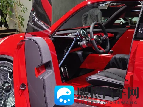 大胸美女脱秘 露小奶头：网红销售顾问消失之谜，豪车界传奇引关注-1